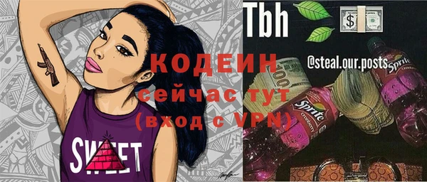 СК Козловка
