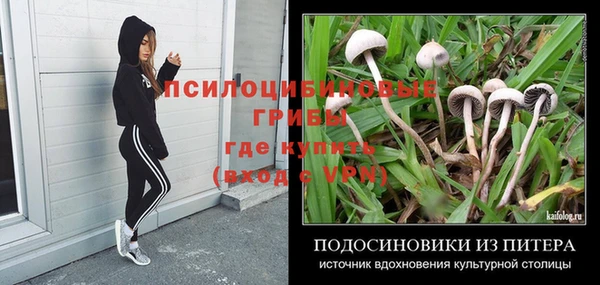 СК Козловка